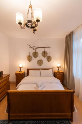 Radu's - Traditional Ultracentral Apartment in the Old Town